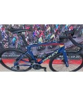 Ridley Noah Disc Talla S